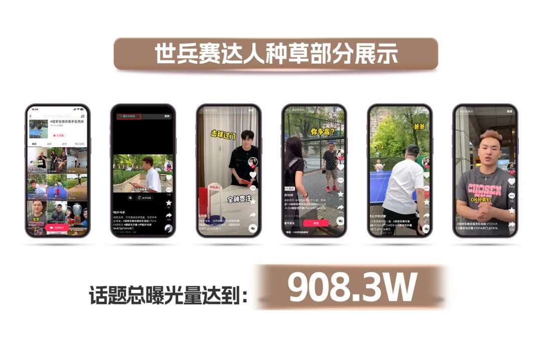 紫龙网络