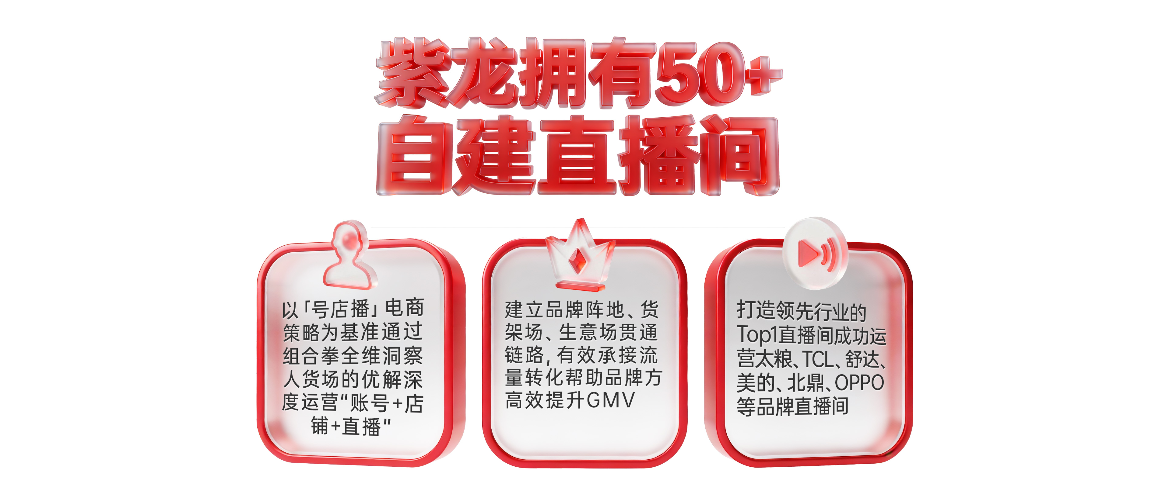 紫龙网站-官网-电商直播运营_03