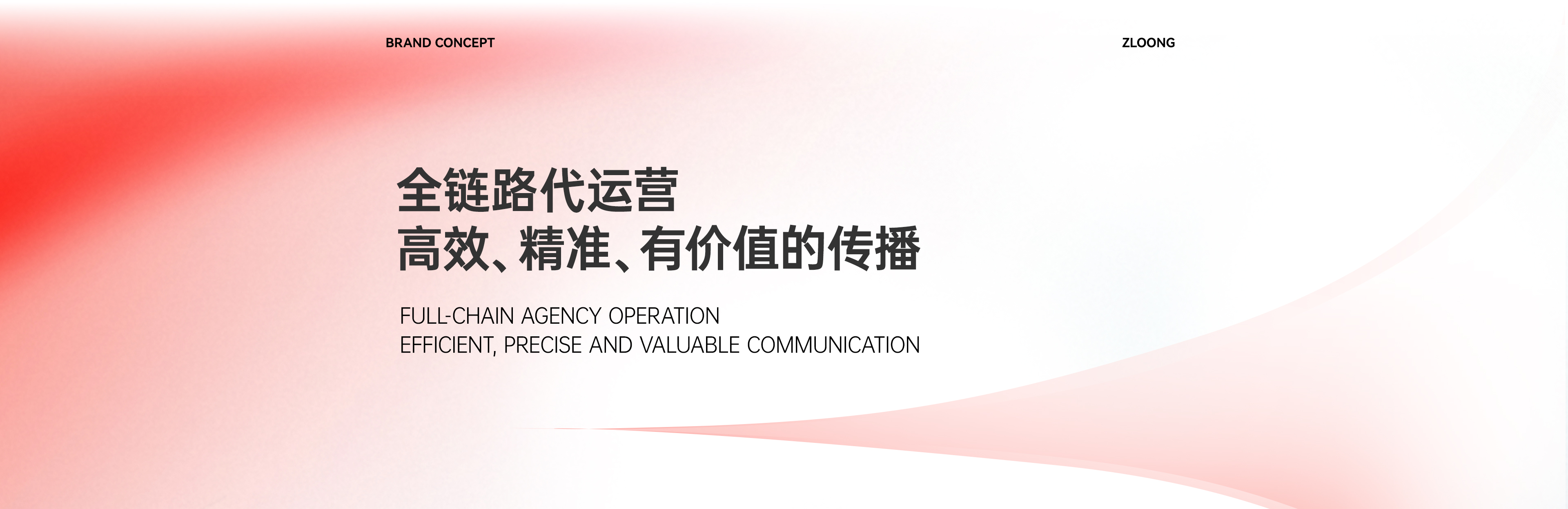 紫龙网站-官网-流量营销-_01